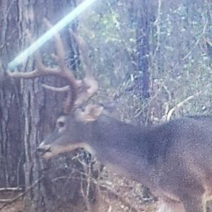 Meet your Posher, Kory